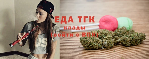 шишки Ельня