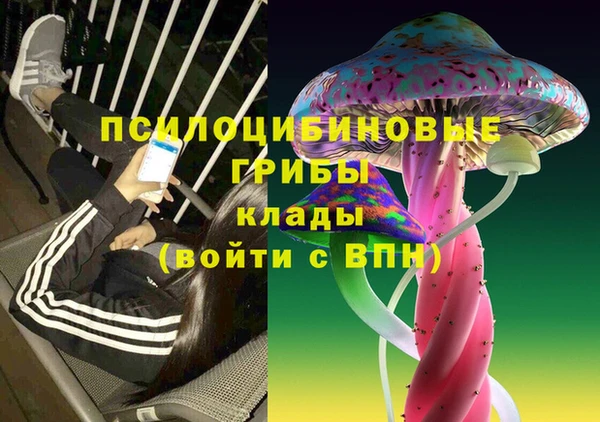 твердый Елизово